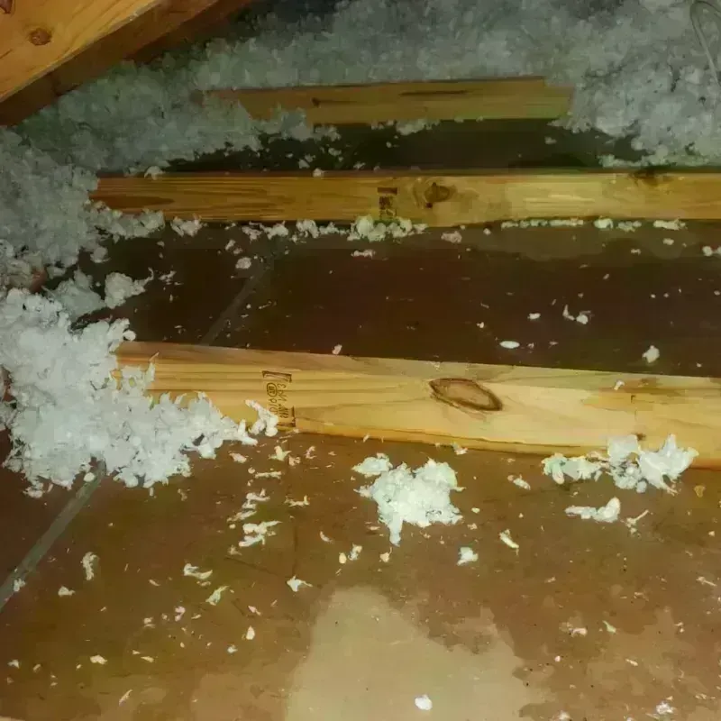 Attic Water Damage in Fredericksburg, TX