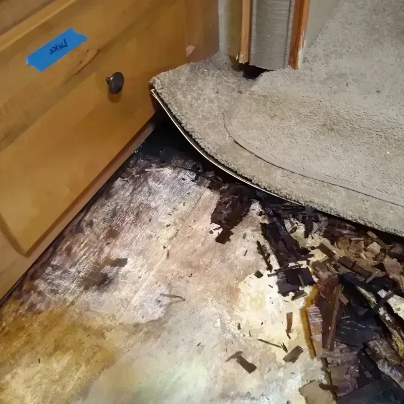 Best Wood Floor Water Damage Service in Fredericksburg, TX